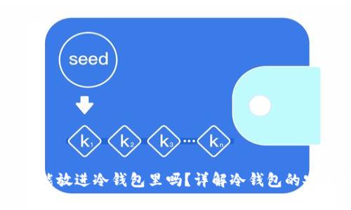 泰达币(Tether)能放进冷钱包里吗?详解冷钱包的安全性与存储方式