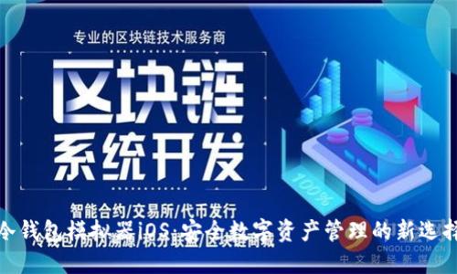 冷钱包模拟器iOS:安全数字资产管理的新选择