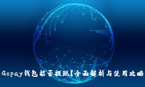 Gopay钱包能否提现?全面解析与使用攻略