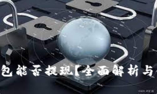 Gopay钱包能否提现?全面解析与使用攻略