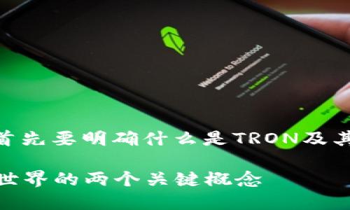 在讨论TRON和TRC20的关系之前，首先要明确什么是TRON及其重要性，以及TRC20的定义和作用。

### TRON与TRC20：理解区块链世界的两个关键概念