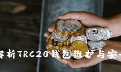 详细解析TRC20钱包维护与安全技巧