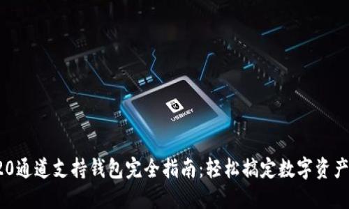 TRC20通道支持钱包完全指南：轻松搞定数字资产转移