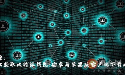 提案：  
轻松获取比特派钱包：安卓与苹果版客户端下载攻略