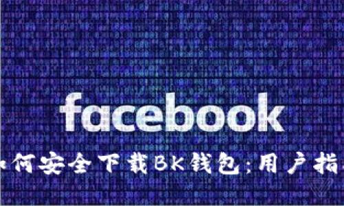 如何安全下载BK钱包：用户指南