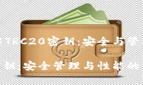 深入了解TRC20密钥：安全与管理的艺术

TRC20密钥：安全管理与性能的全面解析