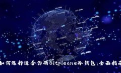 如何选择适合你的Bitpieo