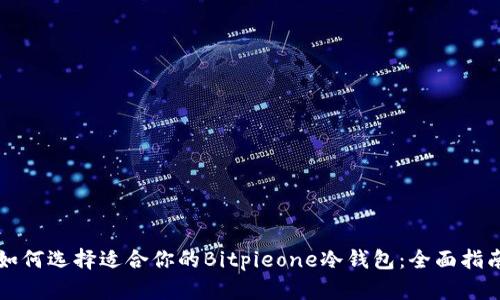 如何选择适合你的Bitpieone冷钱包：全面指南