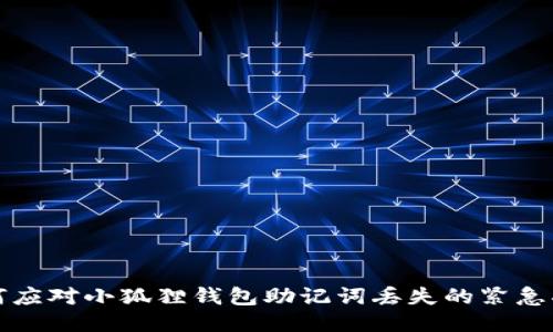 如何应对小狐狸钱包助记词丢失的紧急指南