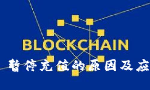 TRC20 暂停充值的原因及应对策略