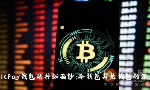 揭开BitPay钱包的神秘面纱：冷钱包与热钱包的深度解析