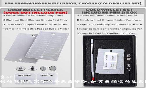 主br
我的钱包比寒冷的冬天更冰冷，如何照顾它的生活？