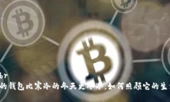 主br我的钱包比寒冷的冬天