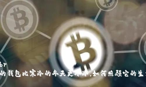 主br
我的钱包比寒冷的冬天更冰冷，如何照顾它的生活？