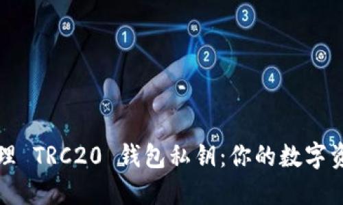如何安全管理 TRC20 钱包私钥：你的数字资产保护指南