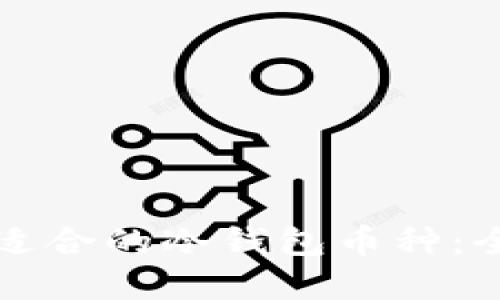 如何选择适合的冷钱包币种：全方位指南