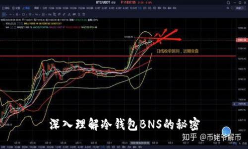 深入理解冷钱包BNS的秘密