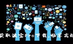 轻松获取波宝Pro下载，畅