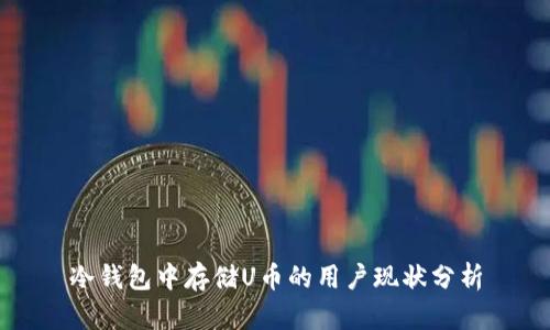 冷钱包中存储U币的用户现状分析