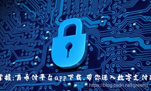 轻松掌握：易币付平台app下载，带你进入数字支付新世界