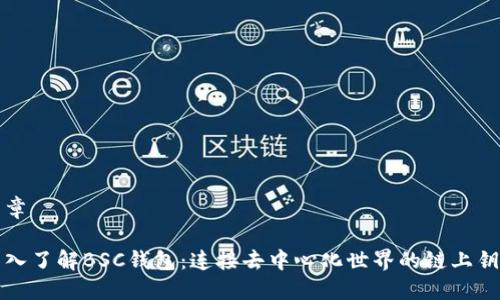 文章

深入了解BSC钱包：连接去中心化世界的链上钥匙