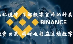 baoti深入了解数字货币的多