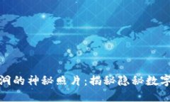 探索冷钱包黑洞的神秘照