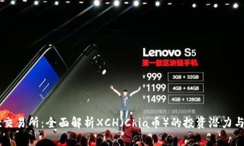 探索OKEx交易所：全面解析XCH（Chia币）的投资潜力与未来走势