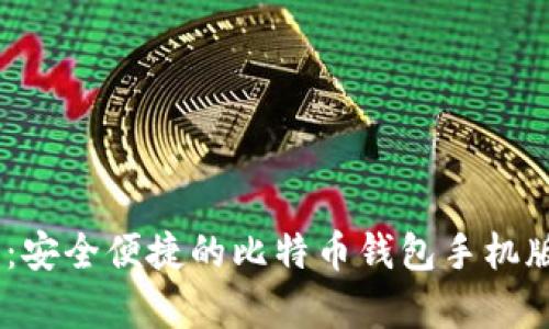 全面解析：安全便捷的比特币钱包手机版APP推荐