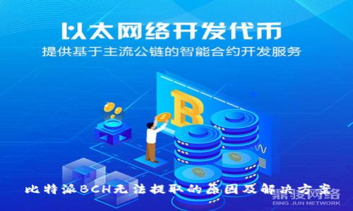 比特派BCH无法提取的原因及解决方案
