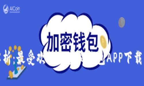 优质  
全面解析：最受欢迎的虚拟钱包APP下载苹果版