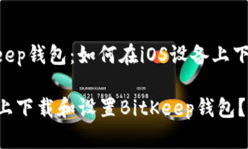  揭秘bitkeep钱包：如何在iOS设备上下载并设置 

如何在iOS上下载和设置BitKeep钱包？全面指南