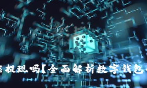 数字钱包能提现吗？全面解析数字钱包的提现功能