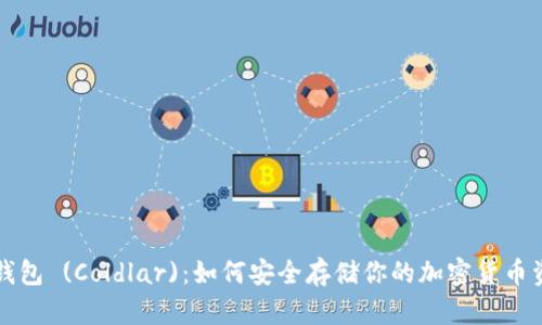 冷钱包 (Coldlar)：如何安全存储你的加密货币资产