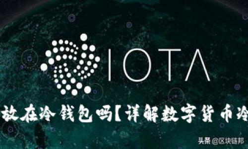 USDT能存放在冷钱包吗？详解数字货币冷钱包存储