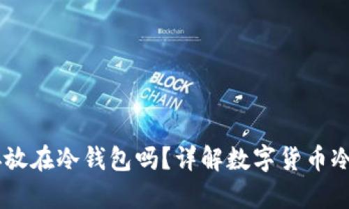 USDT能存放在冷钱包吗？详解数字货币冷钱包存储