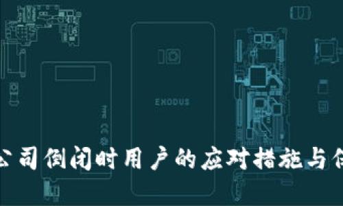 冷钱包公司倒闭时用户的应对措施与保护建议