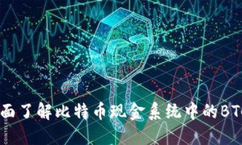 BTCS币：全面了解比特币现金系统中的BTCS数字货币
