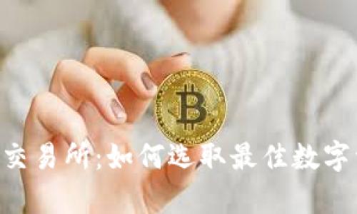 全面解析欧E交易所：如何选取最佳数字资产交易平台