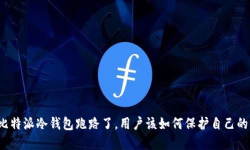 如果比特派冷钱包跑路了，用户该如何保护自己的资产？