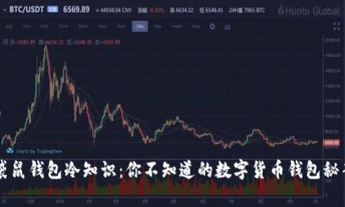 袋鼠钱包冷知识：你不知道的数字货币钱包秘辛