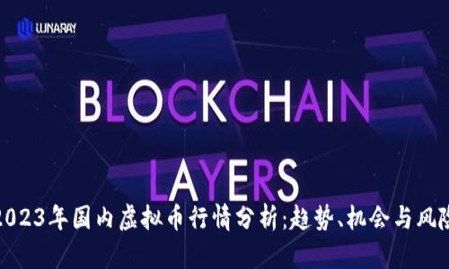 2023年国内虚拟币行情分析：趋势、机会与风险